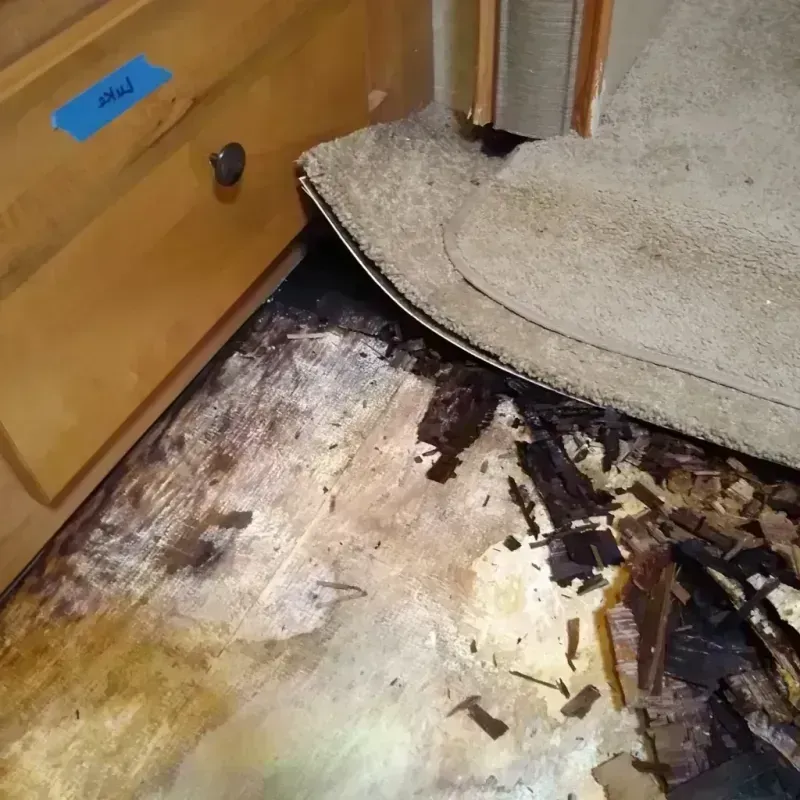 Wood Floor Water Damage in Madison County, MT